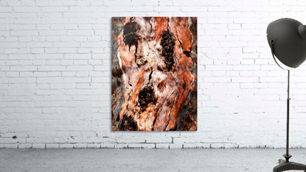 Murray Gum Tree Bark 9 Wall Preview