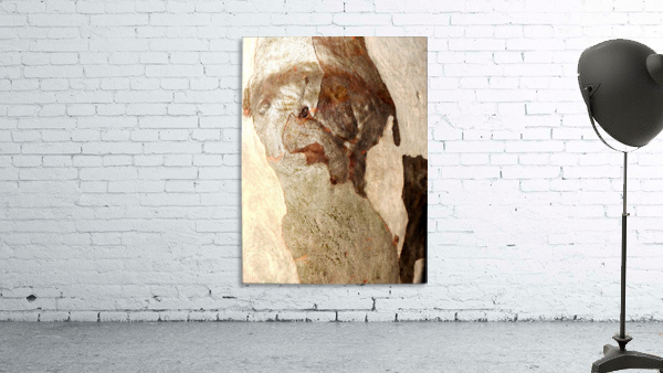 Murray Gum Tree Bark 13 Wall Preview