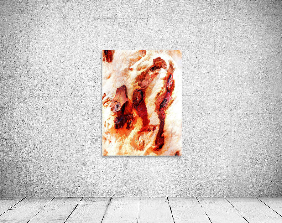 Aussie Gum Tree Bark - 13 Wall Preview