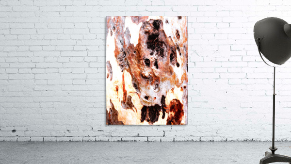 Aussie Gum Tree Bark - 17 Wall Preview