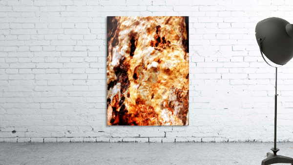 Aussie Gum Tree Bark - 19 Wall Preview