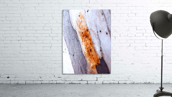 Aussie Gum Tree Bark - 20 Wall Preview