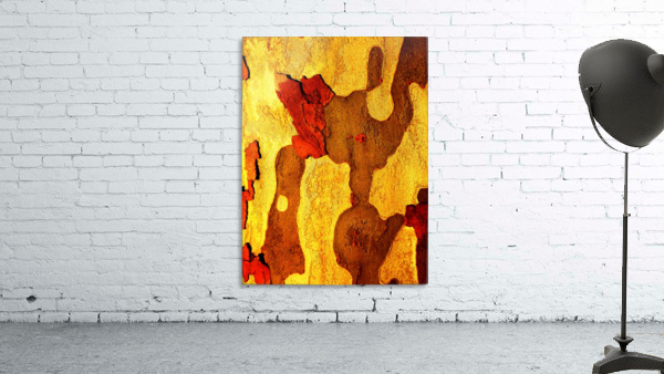 Aussie Gum Tree Bark - 21 Wall Preview