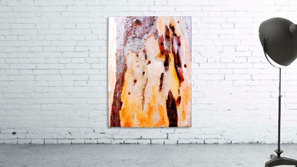 Aussie Gum Tree Bark - 21 Wall Preview