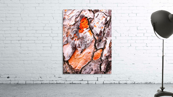 Pine Tree Bark 2 Wall Preview
