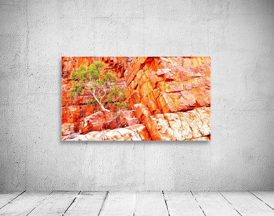 Pink Delight - Ormiston Gorge Wall Preview