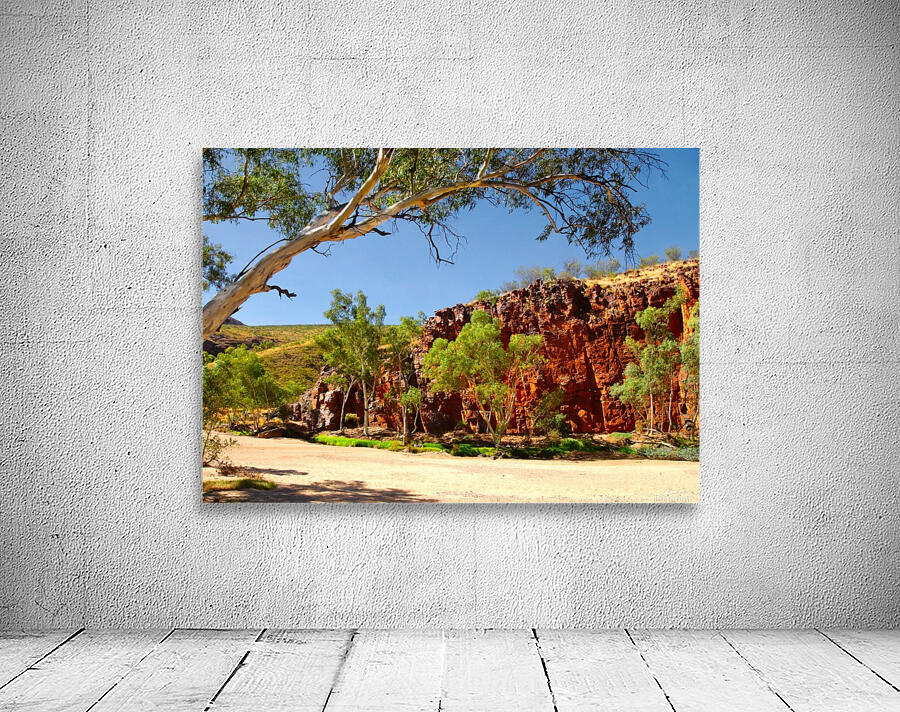 Dry River - Ormiston Gorge Wall Preview