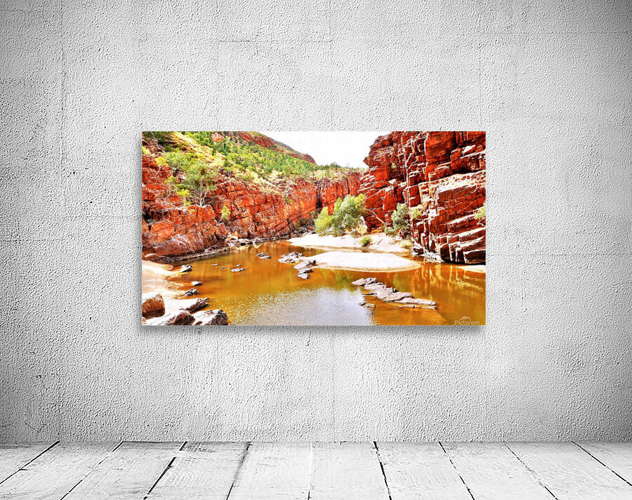 Waterhole - Ormiston Gorge Wall Preview
