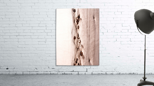 Ghost Gum Bark - 8 Wall Preview