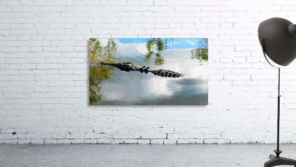 Lurking Wall Preview