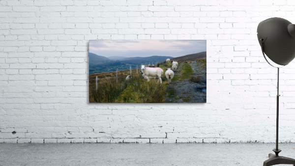 Rural Path to Glencolmcille Wall Preview