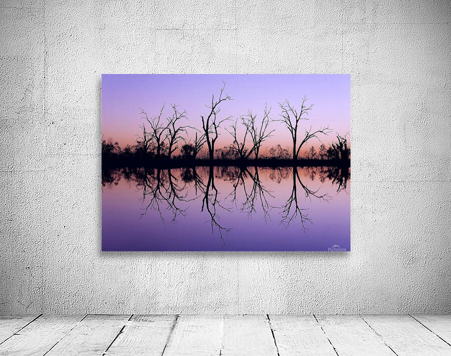 Tree Skeleton Silhouettes Wall Preview