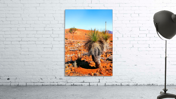 Grass Tree in the Outback Wall Preview