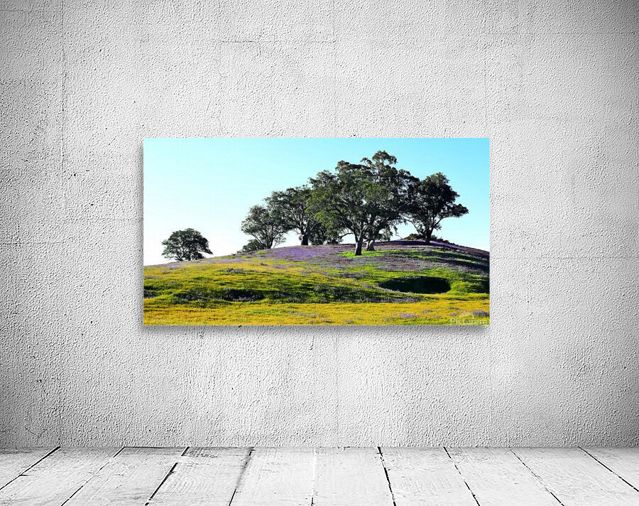 Barossa Valley in Spring Wall Preview