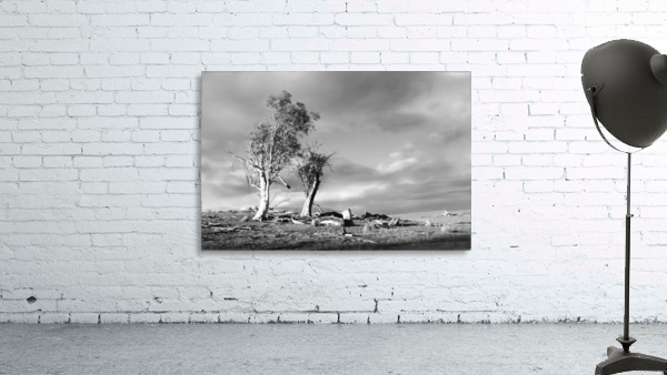 Storm Breaking - BW Wall Preview