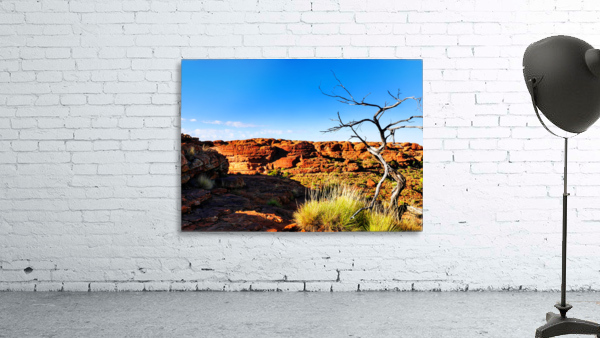 Bare Tree - Kings Canyon  Wall Preview