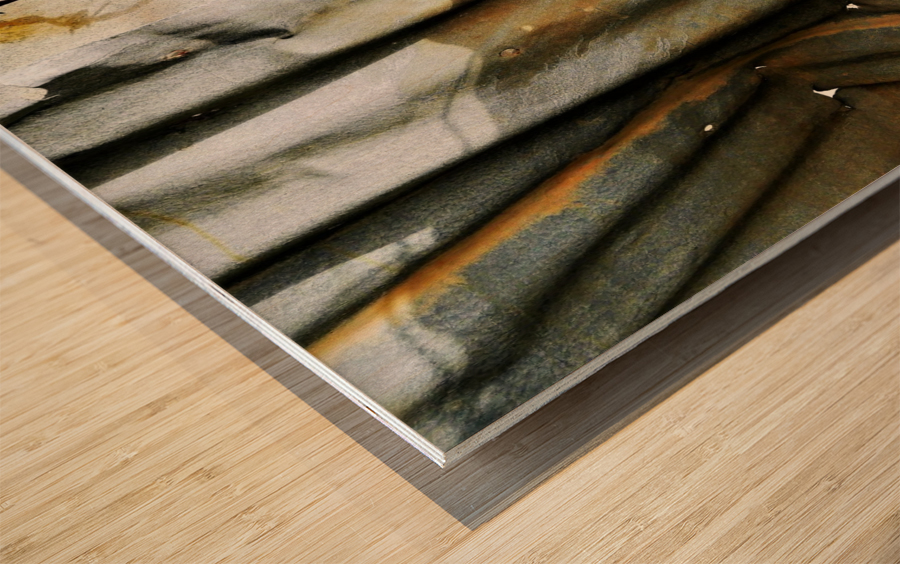 Corrugated Iron Series 19 Wood print