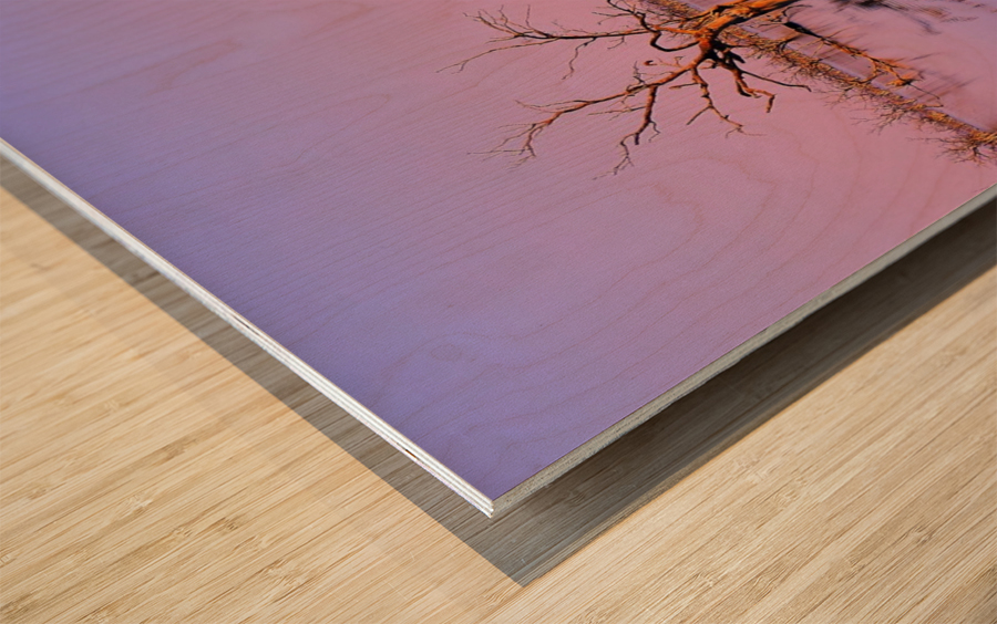 Twin Reflections - Pamamaroo Lake Wood print