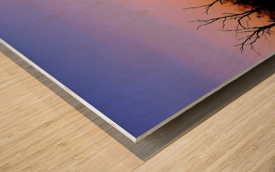 Sunset Silhouette Wood print