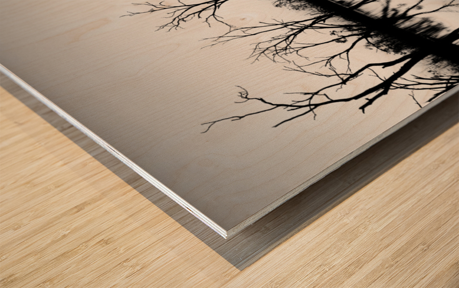 B W Lake Sunset Wood print