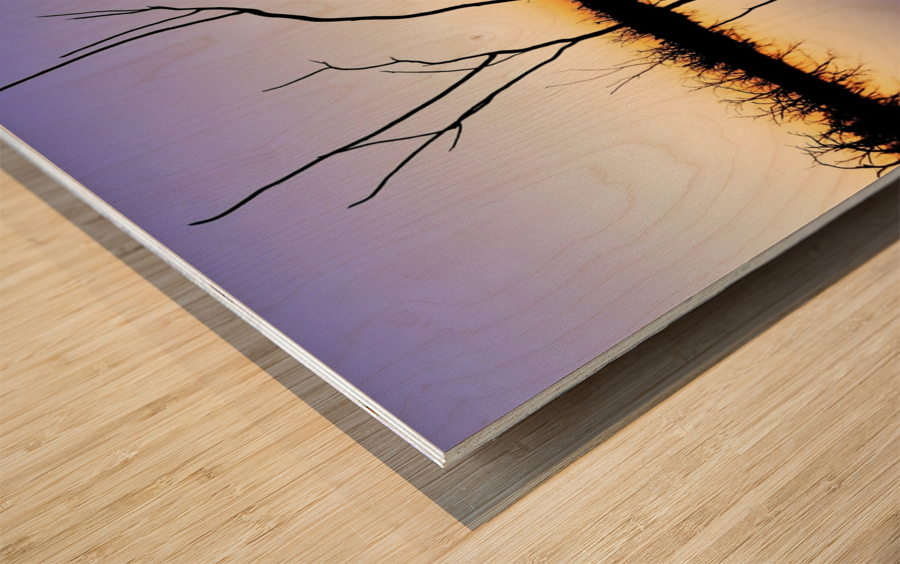 Sunset Reflections Wood print