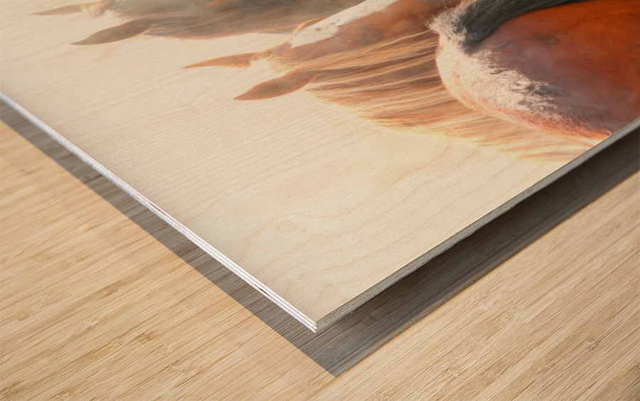 Protect Me Wood print