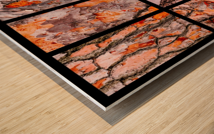 Pine Tree Bark Montage Wood print