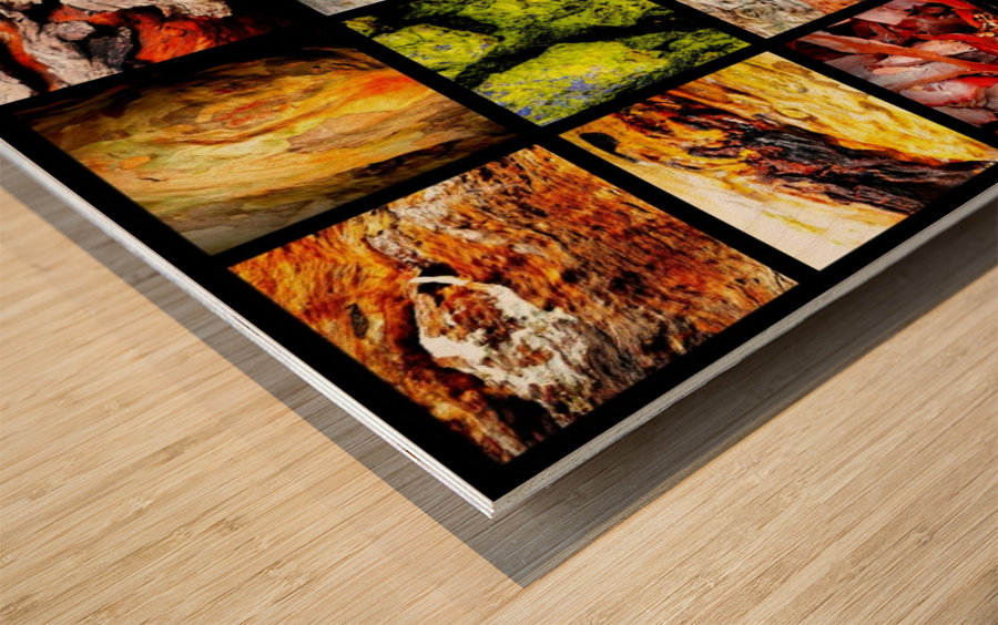 Wet Tree Bark Montage Wood print