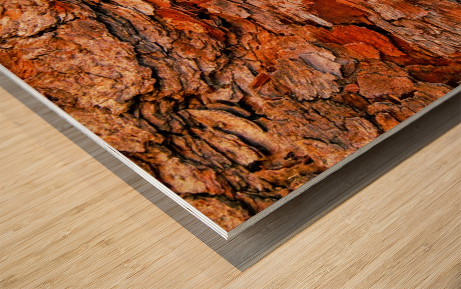 Aussie Gum Tree Bark - 6 Wood print