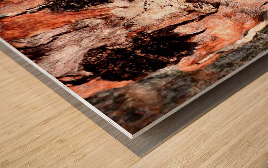 Murray Gum Tree Bark 9 Wood print