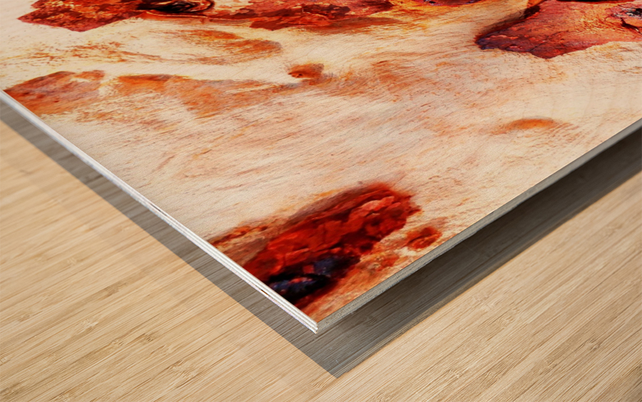 Aussie Gum Tree Bark - 13 Wood print