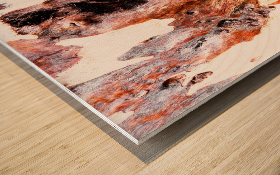 Aussie Gum Tree Bark - 17 Wood print
