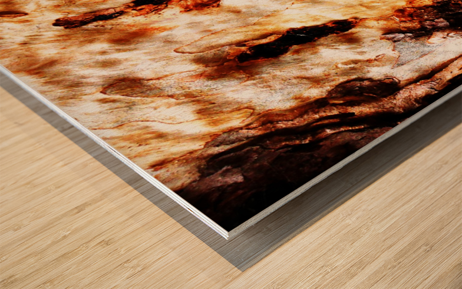 Aussie Gum Tree Bark - 19 Wood print