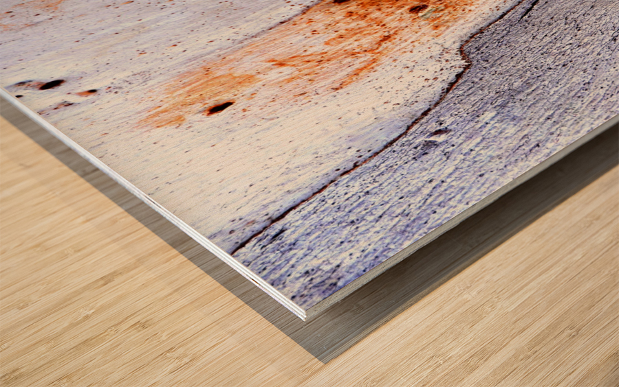 Aussie Gum Tree Bark - 20 Wood print