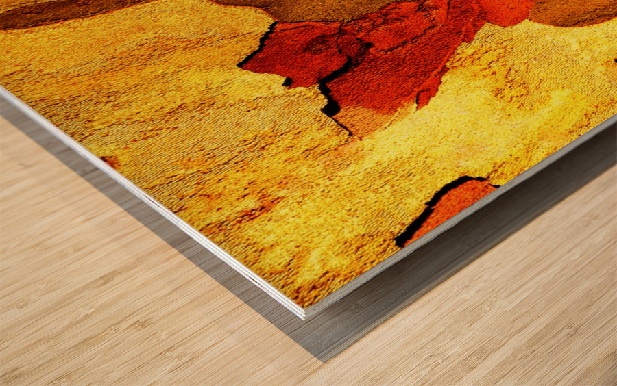 Aussie Gum Tree Bark - 21 Wood print