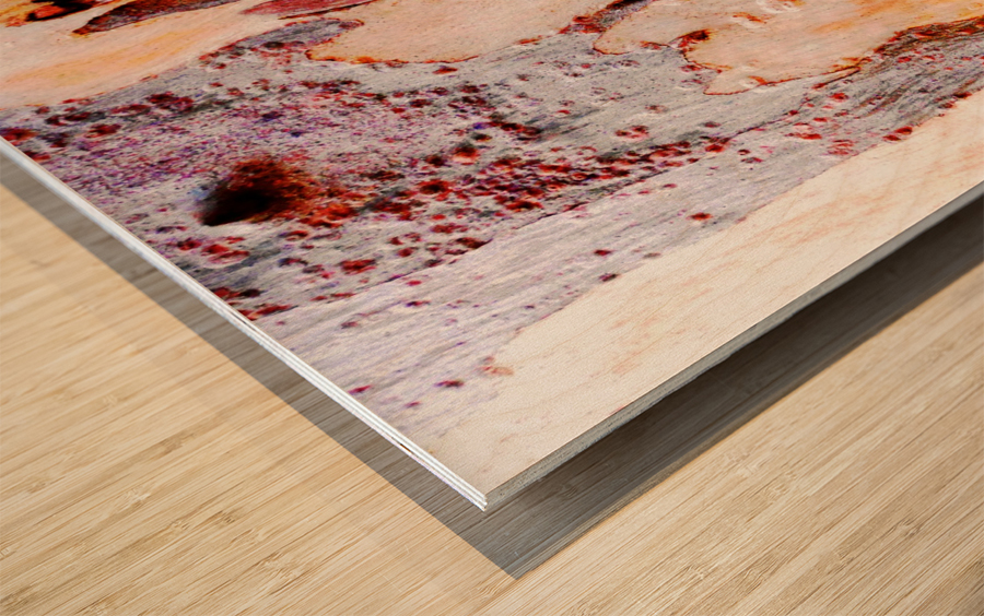 Aussie Gum Tree Bark - 21 Wood print