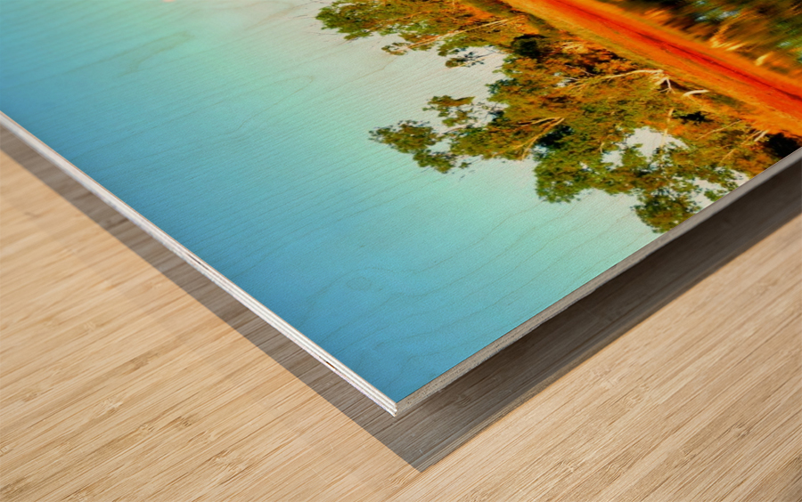 Reflections on an Outback Dam Wood print