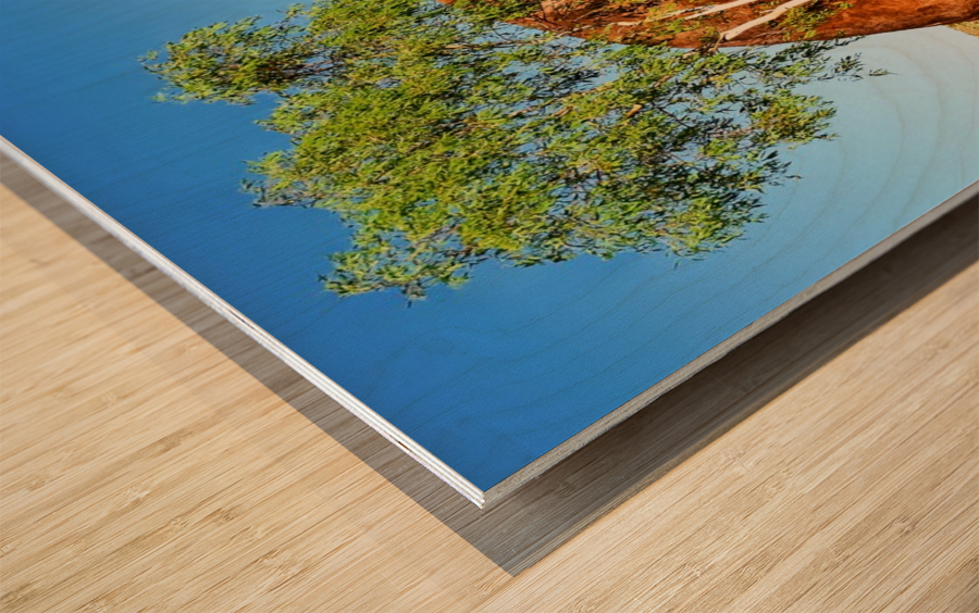 Lone Tree - Devils Marbles Wood print