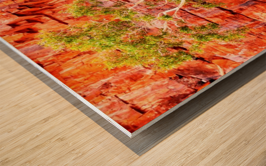 Pink Delight - Ormiston Gorge Wood print