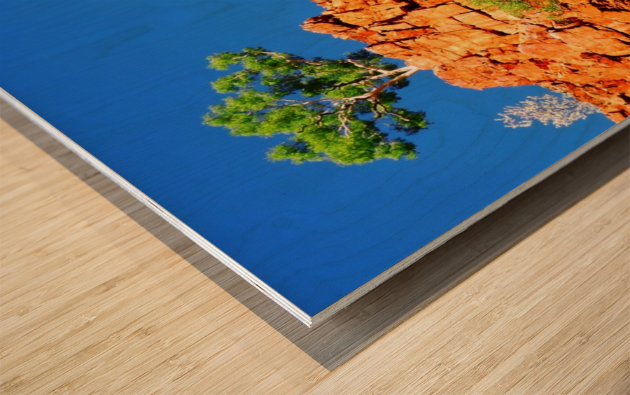 Skyline - Ormiston Gorge Wood print