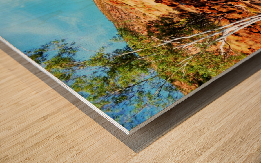 By the River - Ormiston Gorge Wood print