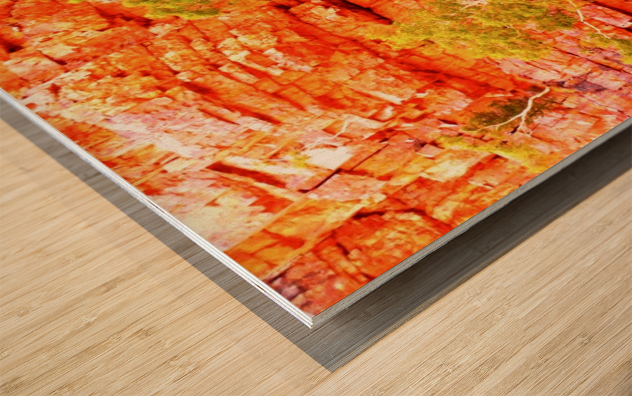 Growing in the Rocks - Ormiston Gorge Wood print