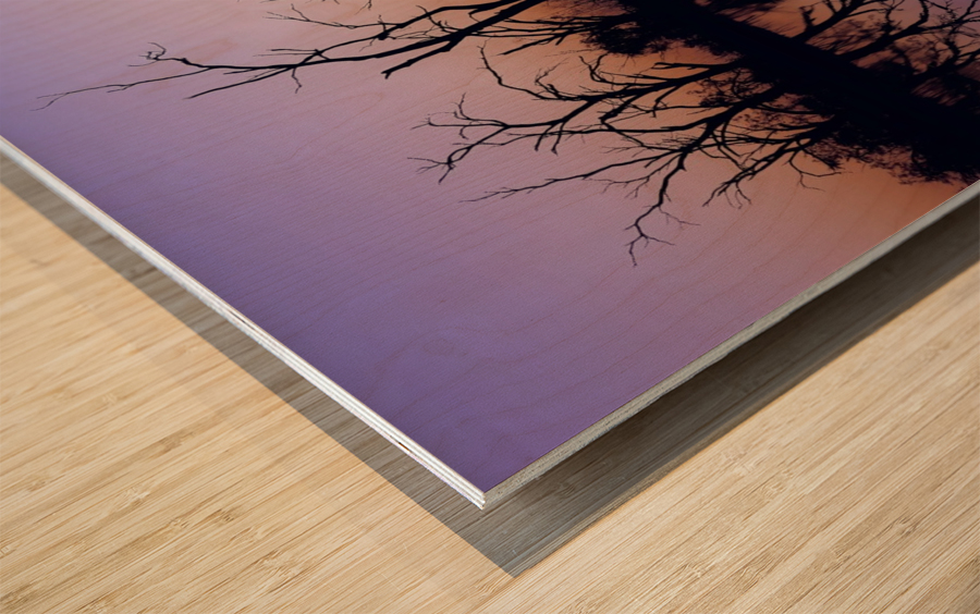 Sunset Reflection on Pamamaroo Wood print