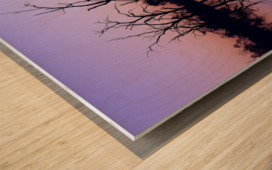 Tree Skeleton Silhouettes Wood print