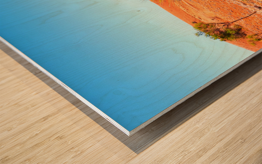 Grass Tree in the Outback Wood print