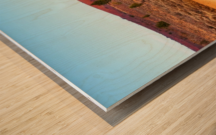 Track in the Outback Wood print