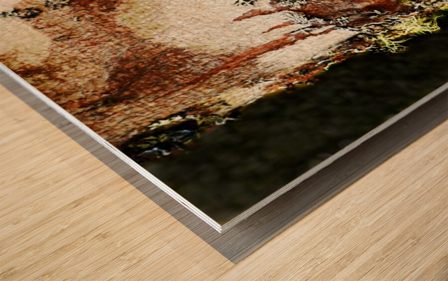 Aussie Alpine Tree Bark Wood print