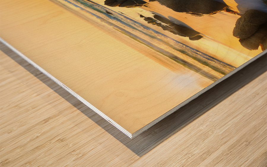 First Light - Friendly Beaches - Tasmania Wood print