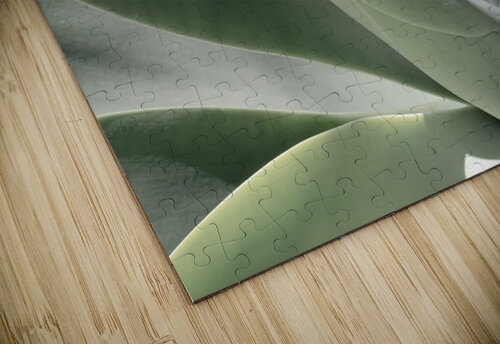 Blue Flame Agave  Alison Frank puzzle