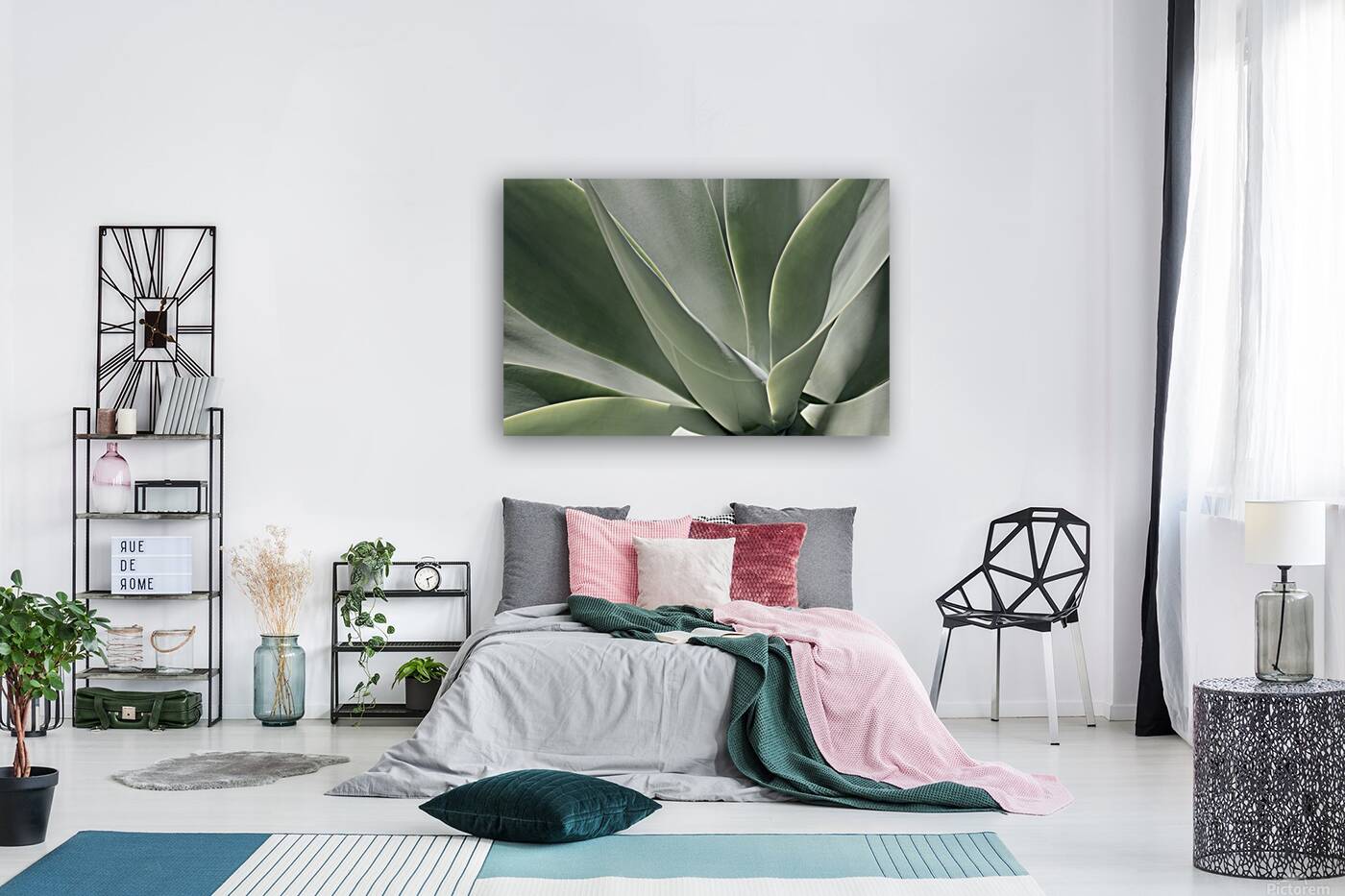 Blue Flame Agave  Reproduction